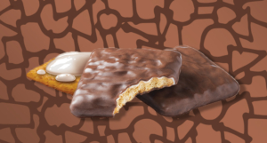 This is a picture of a Girl Scouts Smores cookie.
